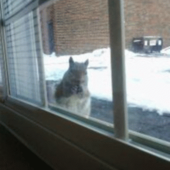 Sloth (USA-2) : 4-18-14 #2